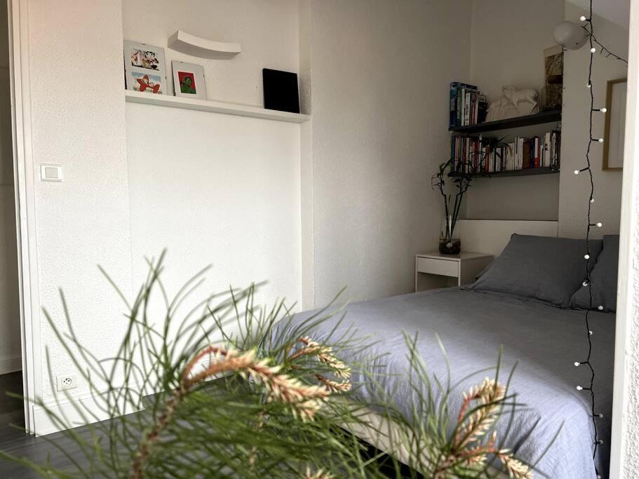 Apartment Beautiful Appart For 2/4 Person, Amazing View Biarritz